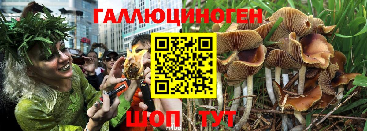 Псилоцибиновые грибы GOLDEN TEACHER Киров